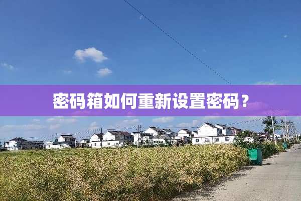 密码箱如何重新设置密码？