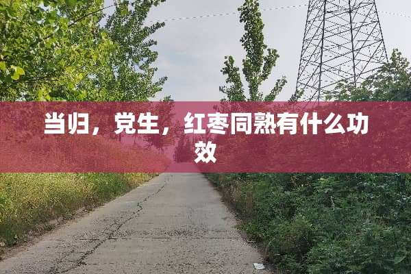 当归，*生，红枣同熟有什么功效