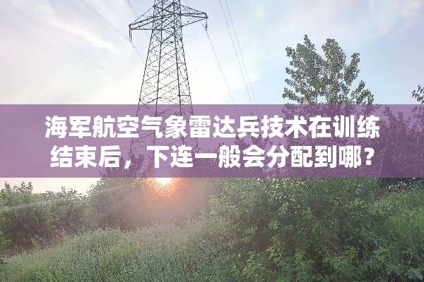 海军航空气象雷达兵技术在训练结束后，下连一般会分配到哪？