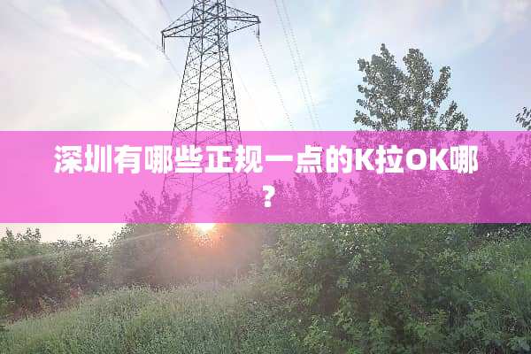 深圳有哪些正规一点的K拉OK哪？