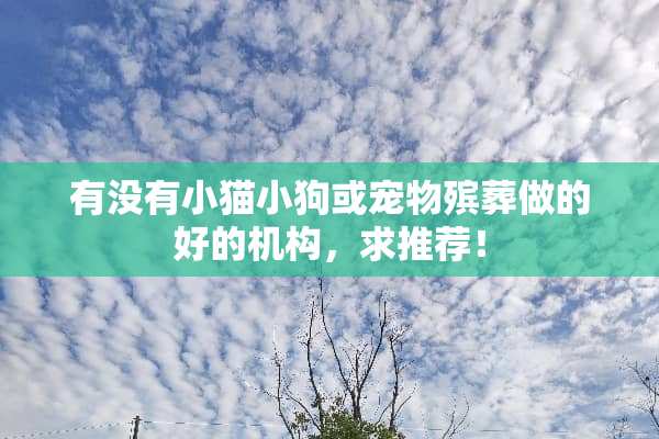 有没有小猫小狗或宠物殡葬做的好的机构，求推荐！