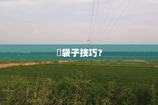冚袋子技巧？