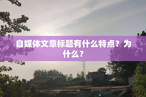 自媒体文章标题有什么特点？为什么？