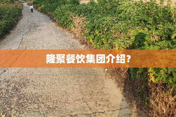 隆聚餐饮集团介绍？