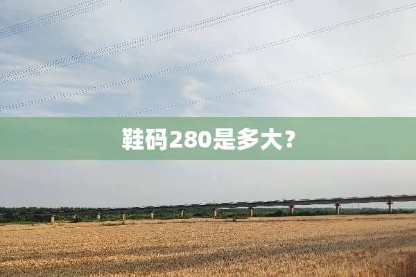 鞋码280是多大？