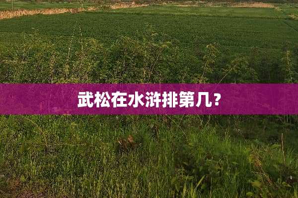 武松在水浒排第几？