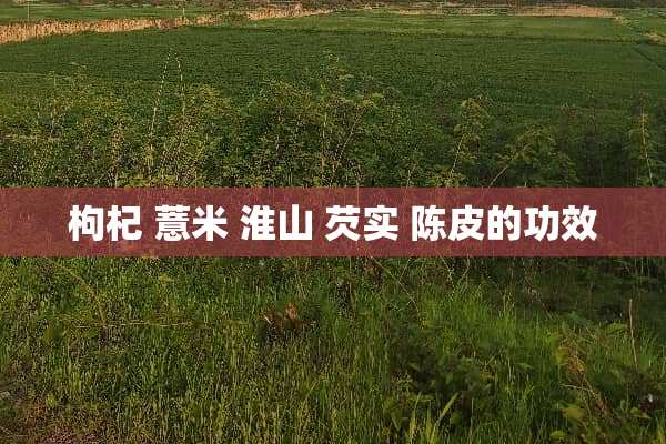 枸杞 薏米 淮山 芡实 陈皮的功效
