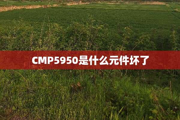 CMP5950是什么元件坏了