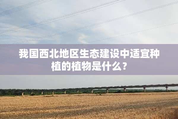 我国西北地区生态建设中适宜种植的植物是什么？