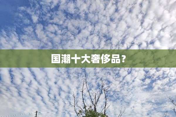 国潮十大奢侈品？