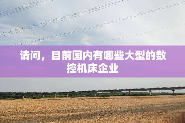 请问，目前国内有哪些大型的数控机床企业