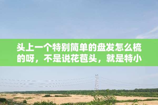 头上一个特别简单的盘发怎么梳的呀，不是说花苞头，就是特小的，看不到皮筋的？