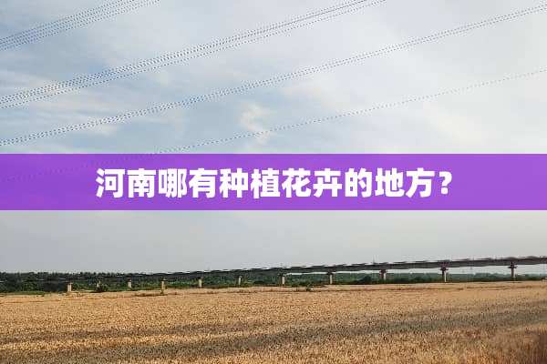 河南哪有种植花卉的地方？
