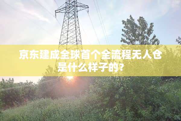 京东建成全球首个全流程无人仓是什么样子的？