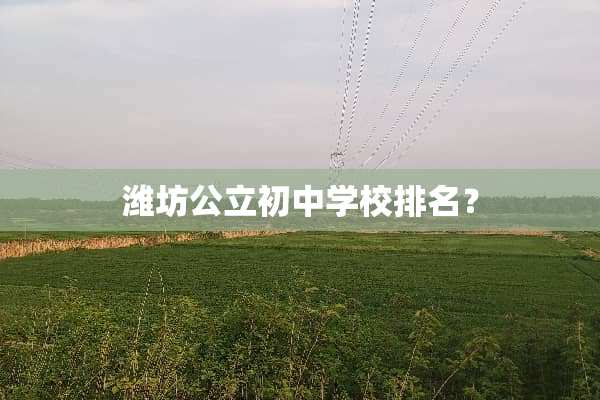 潍坊公立初中学校排名？