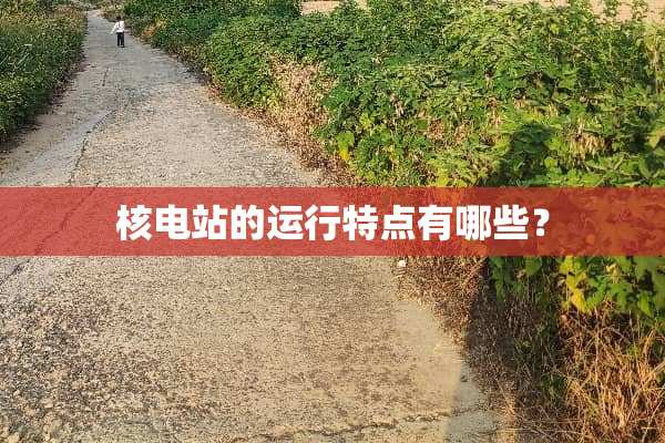 核电站的运行特点有哪些？