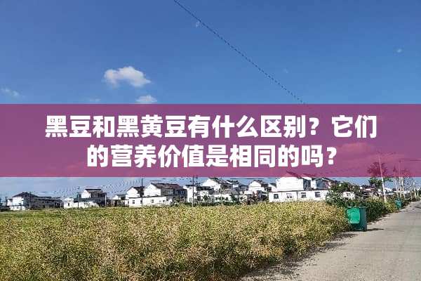黑豆和黑黄豆有什么区别？它们的营养价值是相同的吗？