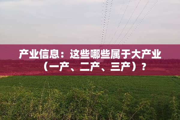 产业信息：这些哪些属于大产业（一产、二产、三产）？