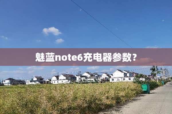 魅蓝note6充电器参数？