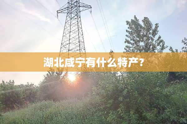 湖北咸宁有什么特产？