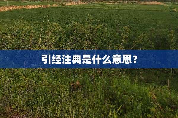 引经注典是什么意思？