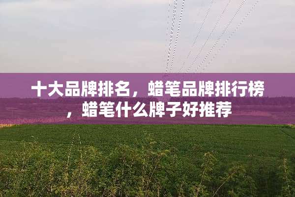 十大品牌排名，蜡笔品牌排行榜，蜡笔什么牌子好推荐