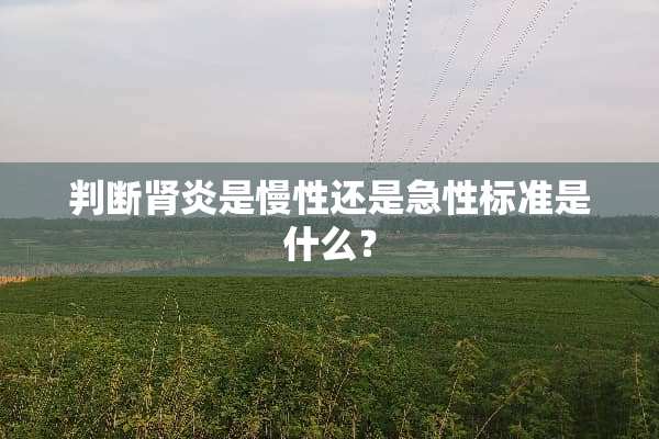 判断肾炎是慢性还是急性标准是什么？