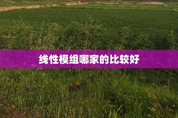 线性模组哪家的比较好