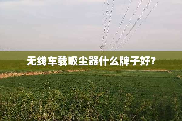 无线车载吸尘器什么牌子好？