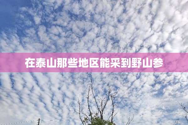 在泰山那些地区能采到野山参