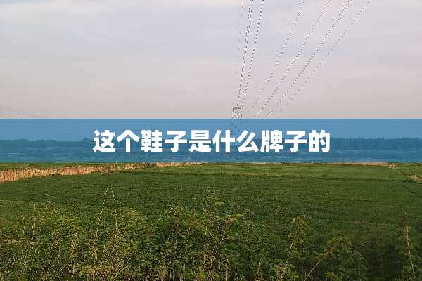 这个鞋子是什么牌子的