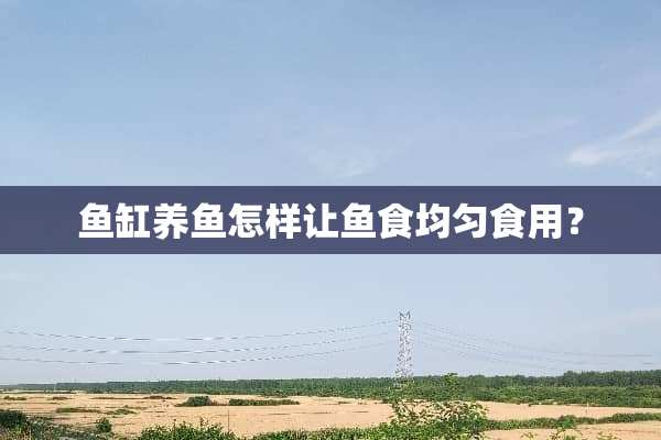 鱼缸养鱼怎样让鱼食均匀食用？