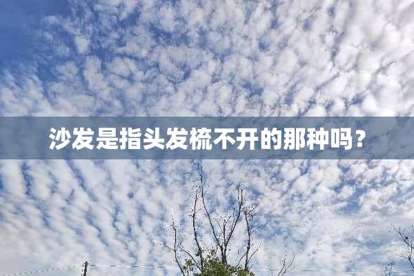 沙发是指头发梳不开的那种吗？