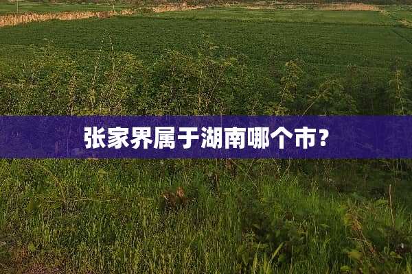 张家界属于湖南哪个市？
