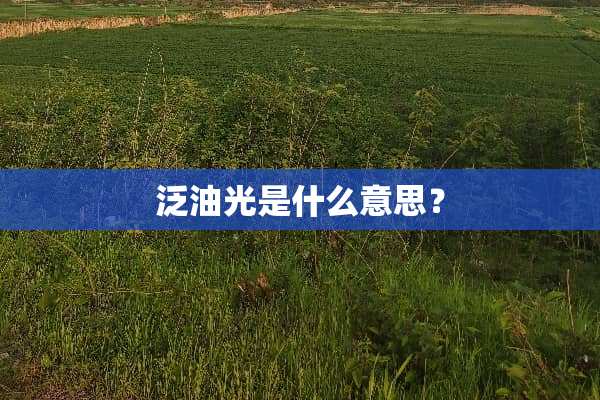 泛油光是什么意思？