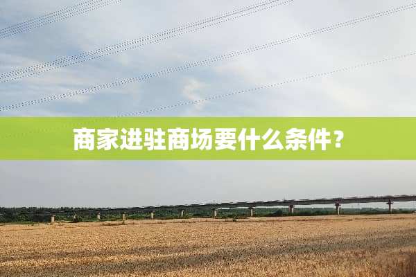 商家进驻商场要什么条件？