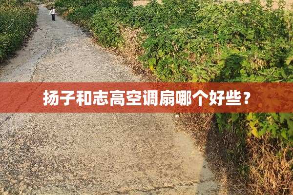 扬子和志高空调扇哪个好些？