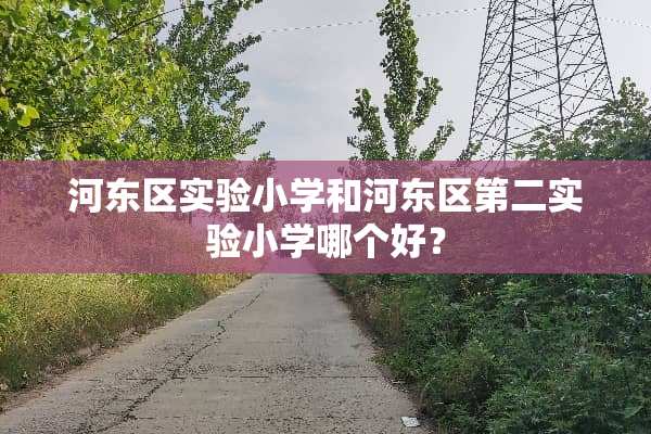 河东区实验小学和河东区第二实验小学哪个好？