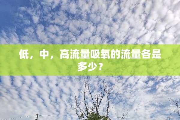 低，中，高流量吸氧的流量各是多少？