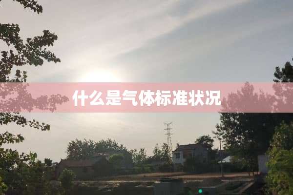 什么是气体标准状况