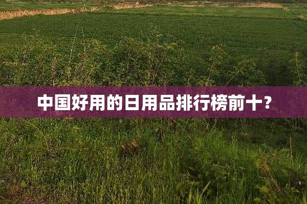 中国好用的日用品排行榜前十？