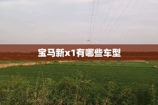 宝马新x1有哪些车型