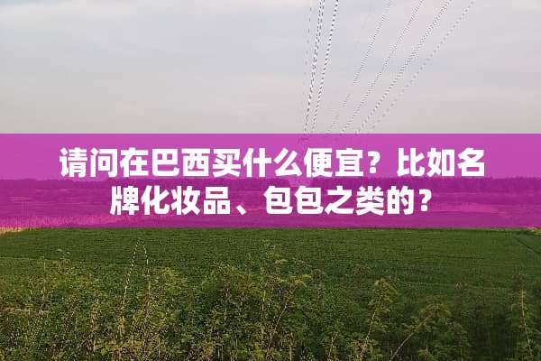 请问在巴西买什么便宜？比如名牌化妆品、包包之类的？