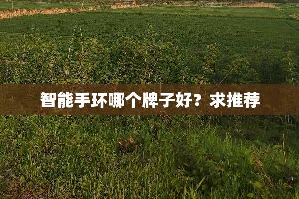 智能手环哪个牌子好？求推荐