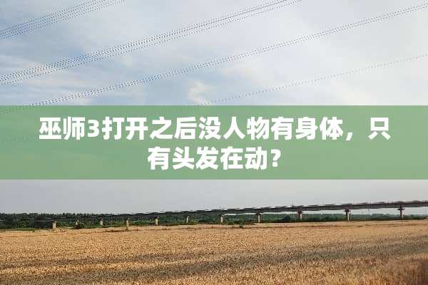 巫师3打开之后没人物有身体，只有头发在动？