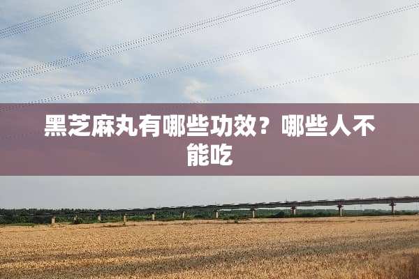 黑芝麻丸有哪些功效？哪些人不能吃