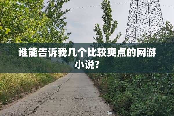 谁能告诉我几个比较爽点的网游小说？