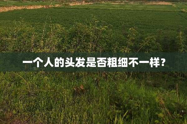 一个人的头发是否粗细不一样？