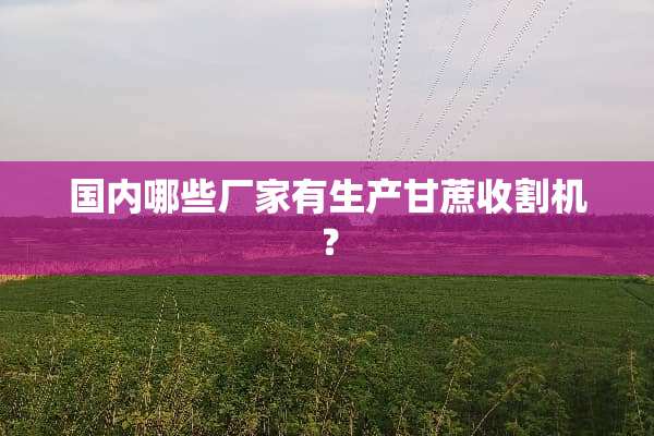 国内哪些厂家有生产甘蔗收割机？