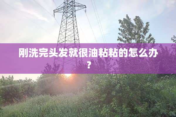 刚洗完头发就很油粘粘的怎么办？